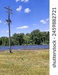 Amid the vast green field, rows of sleek solar panels and a telephone pole that stands tall. 