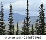 Amidst the serene tranquility of Upper Twin Lake Trail, a majestic mountain rises above the tranquil waters of its namesake lake, surrounded by a verdant canopy of tall trees.
