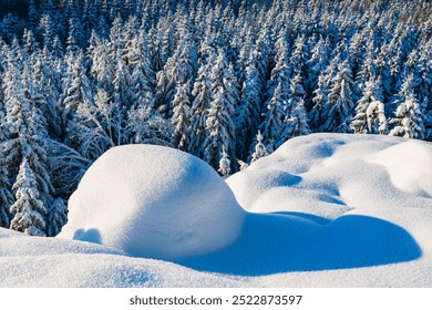 Amidst a serene winter landscape, a snow-covered forest in Sweden reveals trees blanketed in fresh snow, illuminated by gentle sunlight, creating a peaceful atmosphere. - Powered by Shutterstock