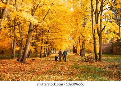 Image result for Photos of woods in autumn