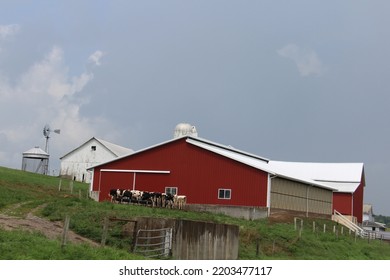 Amish Barn Near Charm