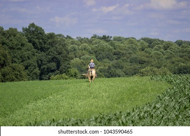 Amish Boy On A Horse