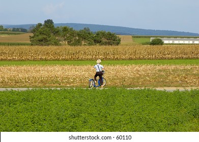 Amish Boy On A Scooter