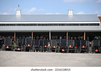 Amish Buggies Line Up At A Sale