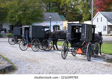 Amish Buggies In Northeast Ohio In Autumn