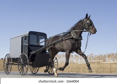 Amish Buggy