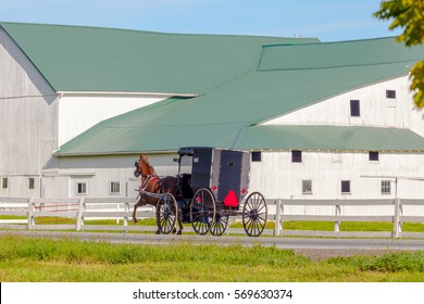 Amish Buggy