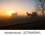Amish Buggy at Dawn on a foggy morning approaches a rural building.