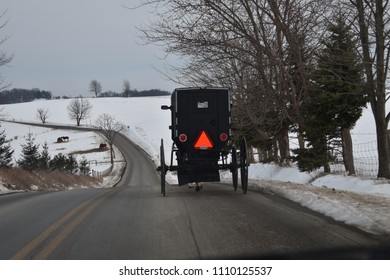 Amish Buggy Holmes County OH