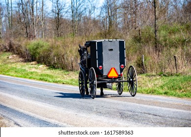 Amish Buggy In Holmes County, Ohio