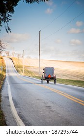 Amish Buggy On Isolated Country Road