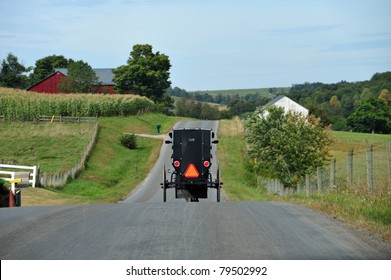 Amish Buggy On A Road In Eastern Pennsylvania