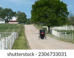 Amish buggy passes white fence posts while traveling rural, gravel road in summer.