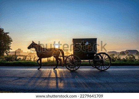 Amish Buggy at Sunrise on rural Indiana road with shadows