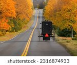Amish buggy traveling down the road in Autumn 