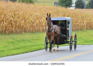 An Amish Carriage Driver In Pennsylvania.
