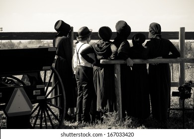 Amish Children On The Farm.