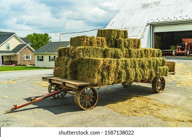 Amish Farm Stock Photos Images Photography Shutterstock