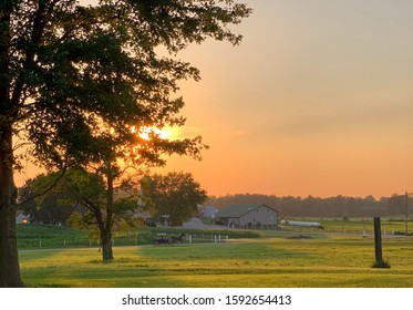 Amish Countryside During The Summer.