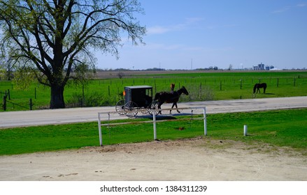 An Amish Family Heads Home By Horse And Wagon