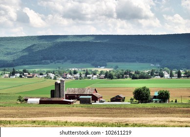 Amish Farm In Central Pennsylvania / Green Fields