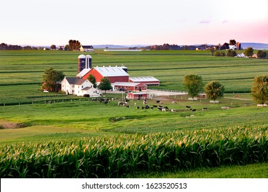 Amish Farm In Lancaster County, Pennsylvania