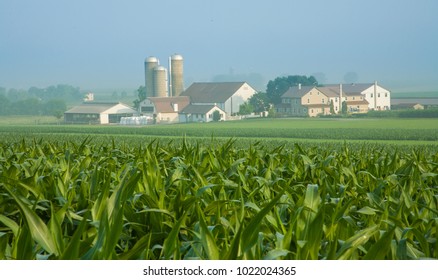 Amish farm near Intercourse, PA