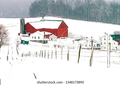 Amish Farm In Ohio Amish Country, USA