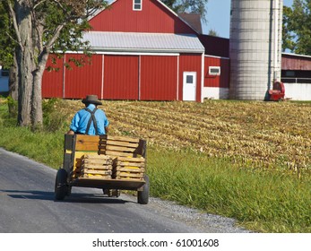 Amish Farmer