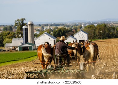Amish farmer on horse drawn plow with farm in background in rural Pennsylvania. 