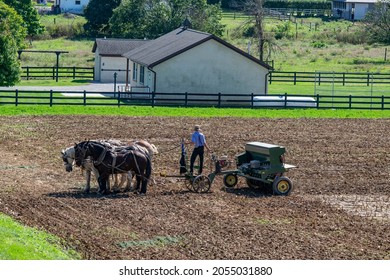Amish Farmer Plowing Field After Corn Harvest with 6 Horses Pulling Farm Equipment With a Gas Engine on the Equipment on a Sunny Day