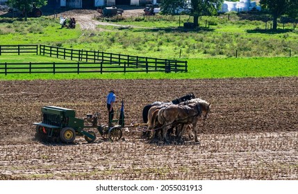 Amish Farmer Plowing Field After Corn Harvest with 6 Horses Pulling Farm Equipment With a Gas Engine on the Equipment on a Sunny Day