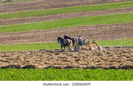 Amish Farmers Working in Field in Rural Lancaster County Pennsylvania