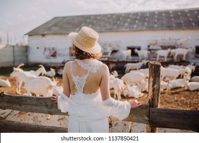 Amish Girl In White Dress And Hat Stands On A Goat Farm