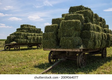 Amish Haybales and Men working in a Field
