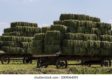 Amish Haybales and Men working in a Field