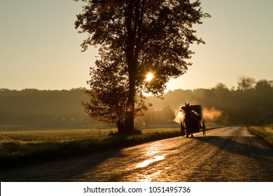 Amish Horse And Buggy 