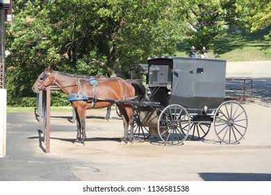 Amish Horse Buggy Stock Photo 1136581538 | Shutterstock