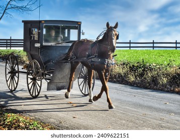 Amish horse and buggy in Lancaster, Pennsylvania.               