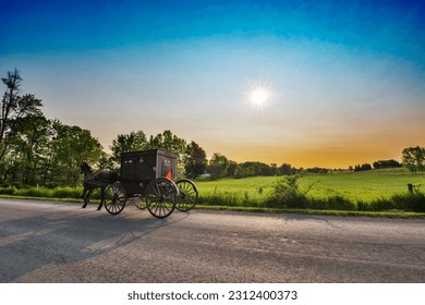 An Amish horse and buggy passes a meadow in the morning mist. The sun in rising on a new day.