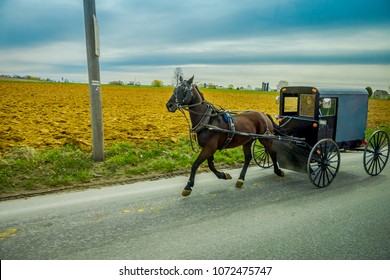 An Amish horse and carriage travels on a rural road in Lancaster County,Pennsylvania