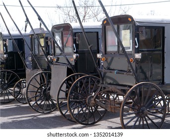 amish horse and buggy for sale