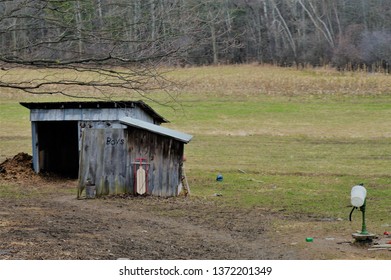 An Amish Life