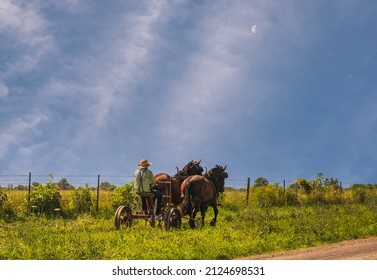 Amish man riding buggy along rural road in Midwest in summer; rising moon in background