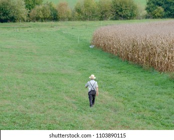 Amish Man Walking In The Field