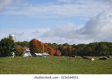 Amish Sugarhouse On An Autumn Landscape