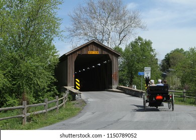 Amish Women In Open Wagon