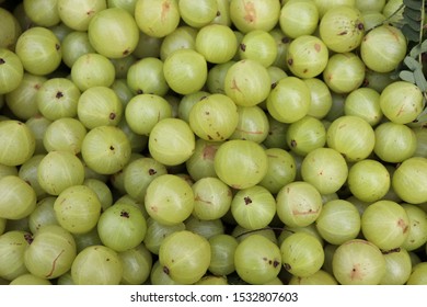 Amla Background. Healthy Green Indian Gooseberry Amla