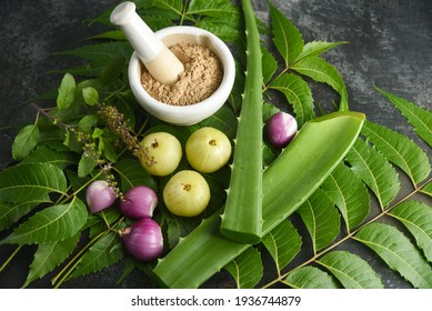 Amla Berry, Indian Gooseberry Powder Ayurvedic Oil , Herbal Hair Oil With Herbs Tulsi Neem Leaves, Neem Oil,  Aloe Vera Indian Ayurveda Treatment For Hair And Skin, Making Medicine Kerala, India