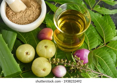 Amla Berry, Indian Gooseberry Powder Ayurvedic Oil , Herbal Hair Oil With Herbs Tulsi Neem Leaves, Neem Oil,  Aloe Vera Indian Ayurveda Treatment For Hair And Skin, Making Medicine Kerala, India